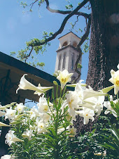 The Cathedral of the Sacred Heart at Easter