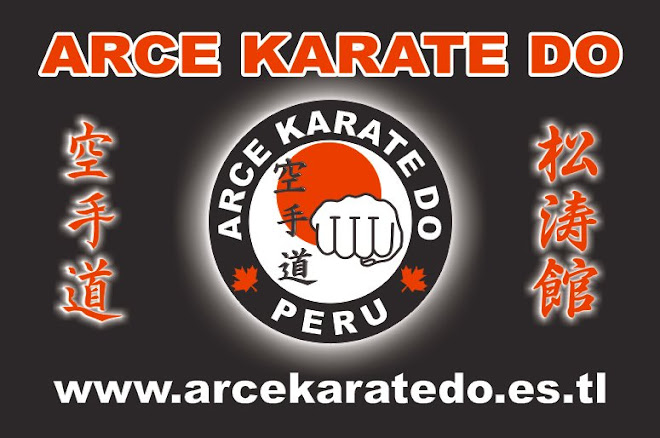 SENSEI CARLOS ARCE