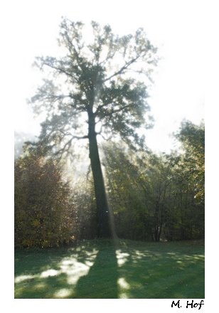 Parc d' Enghien