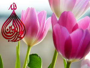 .::Assalamu'alaikum::.