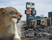 The MGM Grand Hotel even has its own lions. The Bellagio has its dazzlingly . (las vegas mgm)