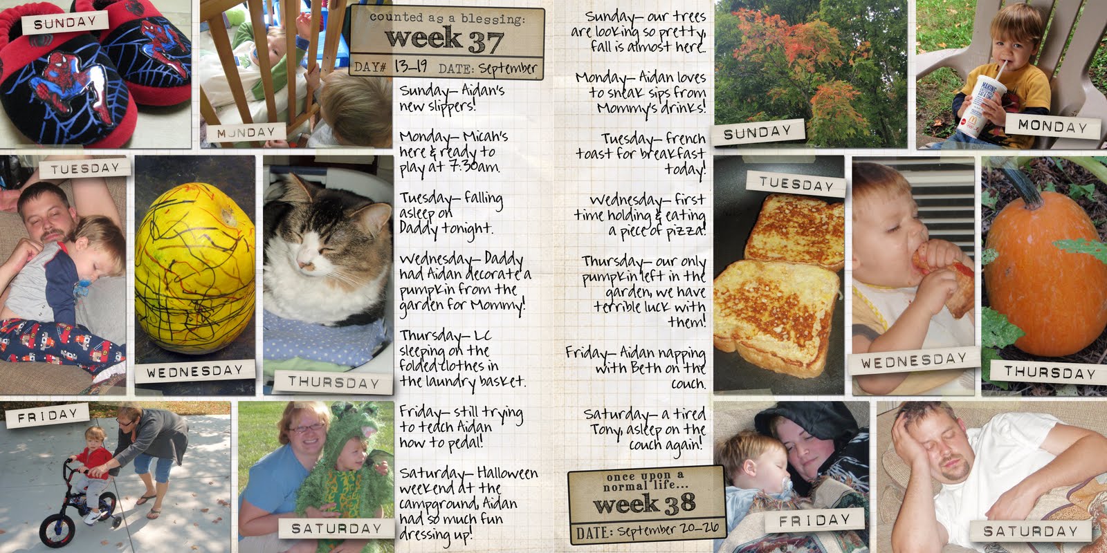 [week38+blog.jpg]
