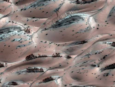 Pink dunes with weird dark red hair or plant things sticking out