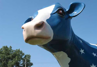 Close up shot from below of a blue cow sprinkled with stars