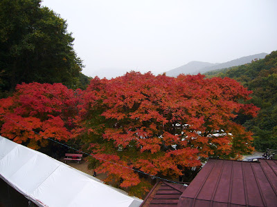 寒霞渓の紅葉