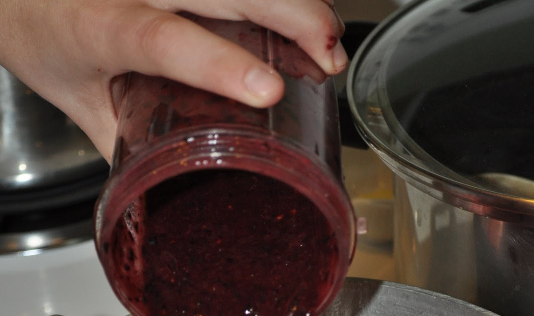 Mommy Diaries Homemade Triple Berry Fruit Strips