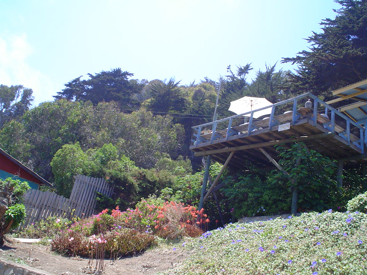 [DSC01876.JPG]