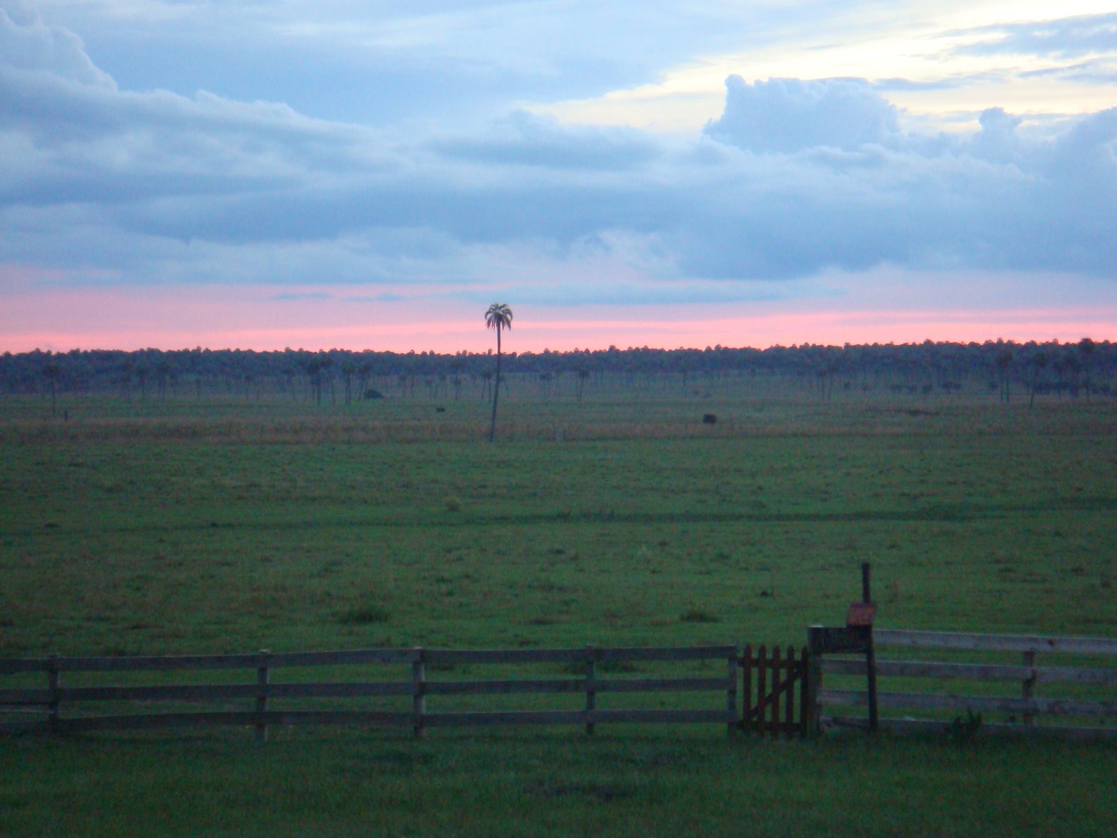 [DSC01626.JPG]