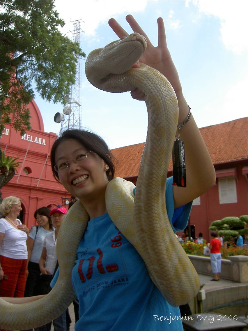 [03+yen+and+albino+python.jpg]