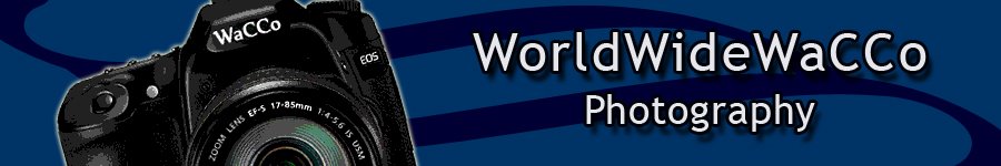 WorldWideWaCCo.blogt