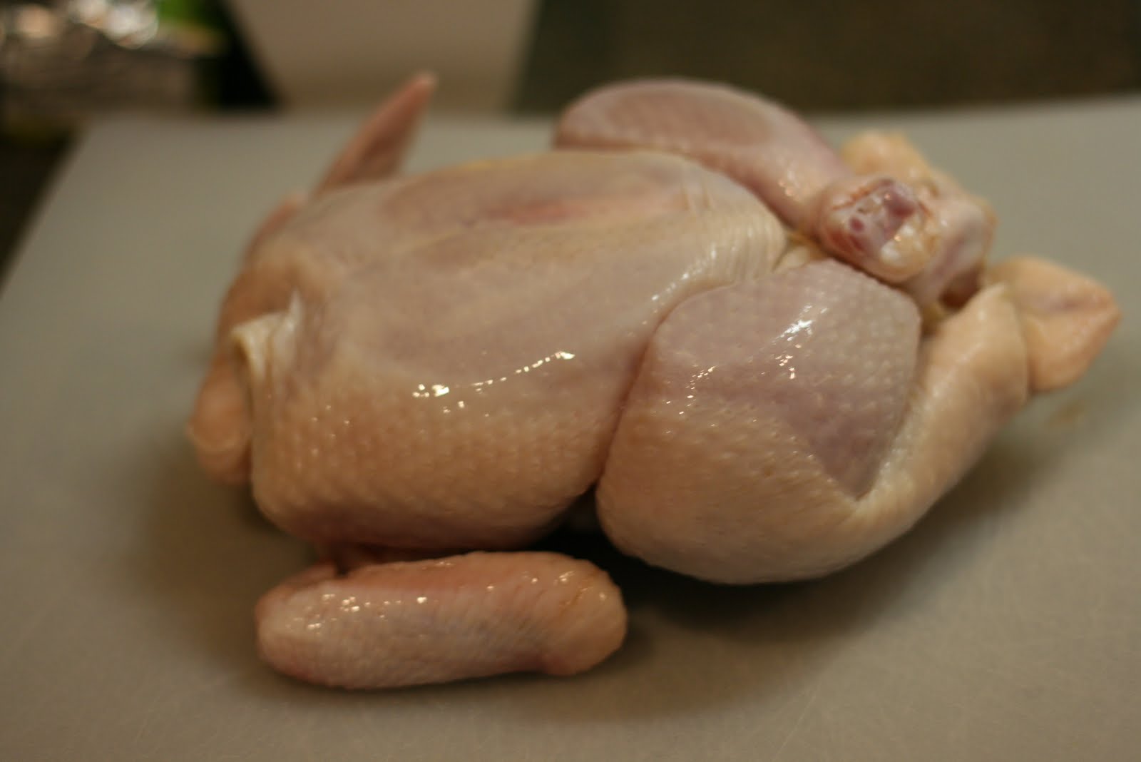 Jill S Test Kitchen Brining Poultry