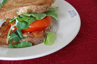 blt with arugula on emma bridgewater utility | simple pretty