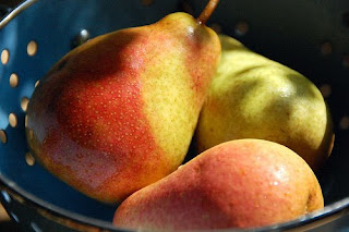 harrow delight pears in colander | simple pretty