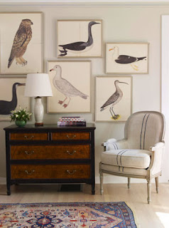 olof rudbeck the younger bird prints | simple pretty