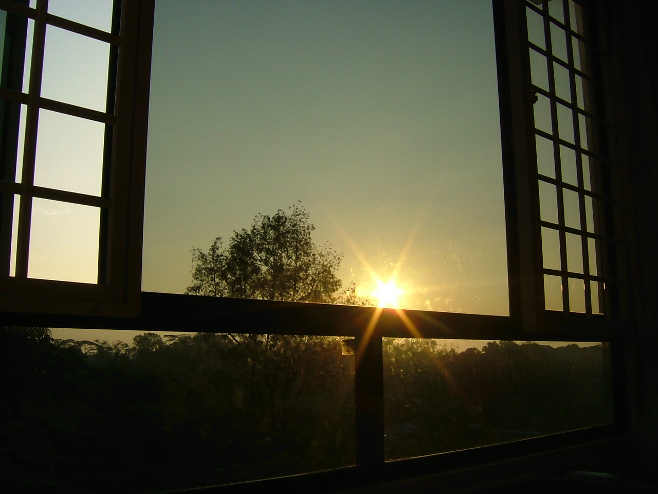 [DSCF0303.JPG]