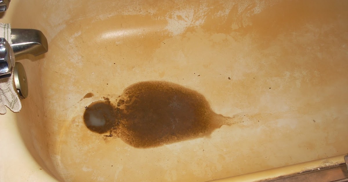 City Girl in the Sticks Um, Pat, there's poop in the tub.