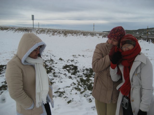 [IMG_0102.JPG]
