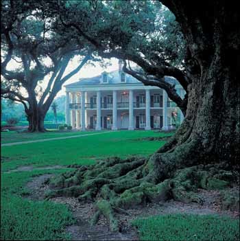 Myrtlewood Manor: Inspiration: Real-Life Southern Plantation Houses