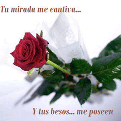 [Ese-amor-perdido___GATITA-R.gif]