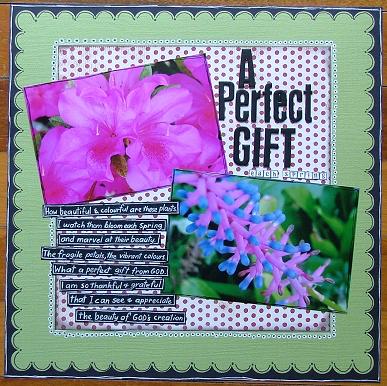 [Spring+Gift.JPG]