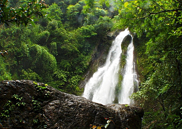 zoo med waterfall zoo med waterfall