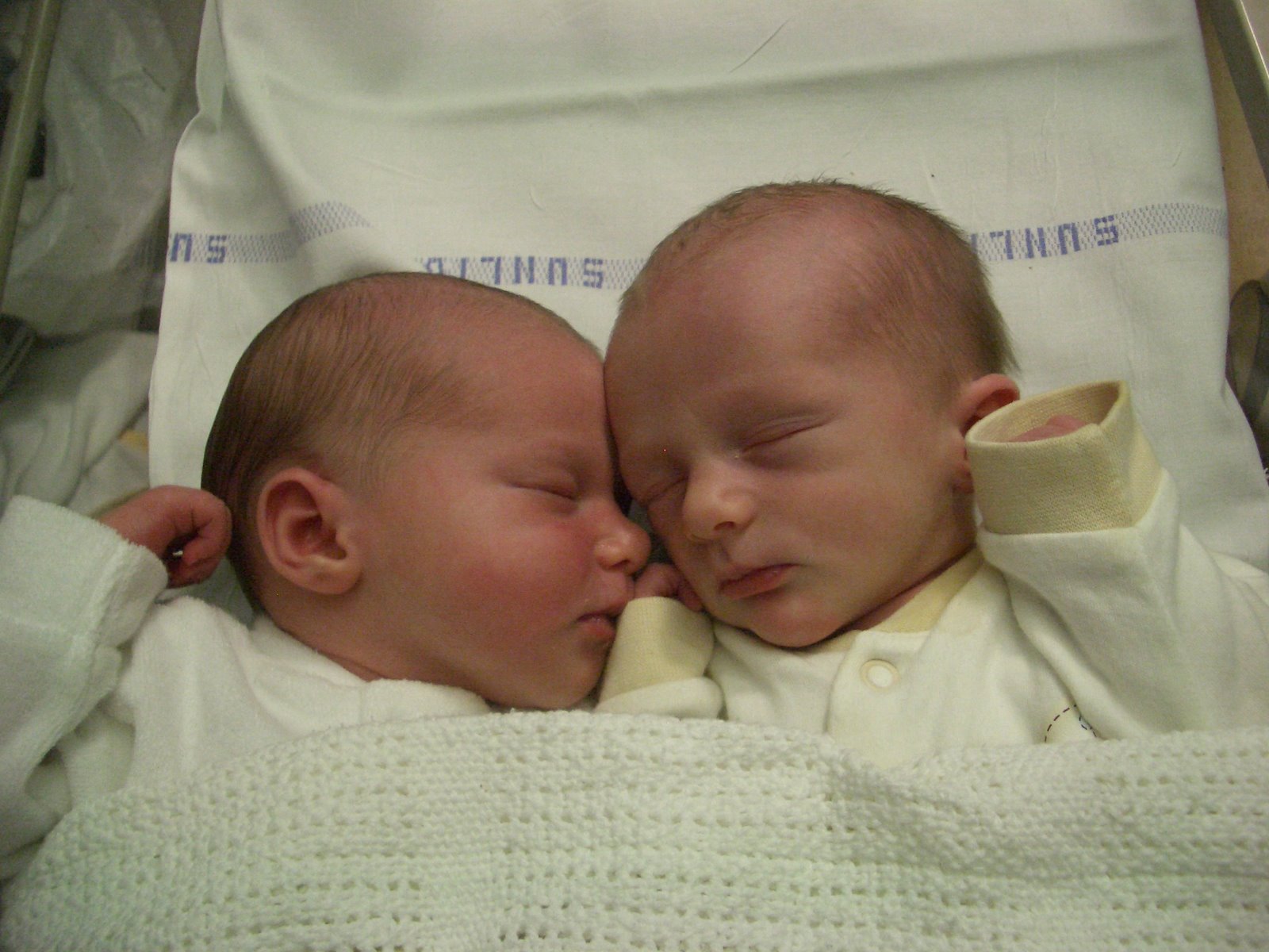 [twins.JPG]