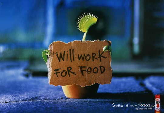 funny-will-work-for-food1.jpg