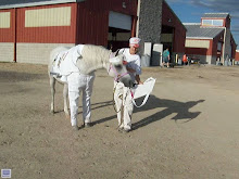my horse paints too!
