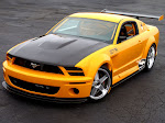 My Only Dream !  " Mustang "
