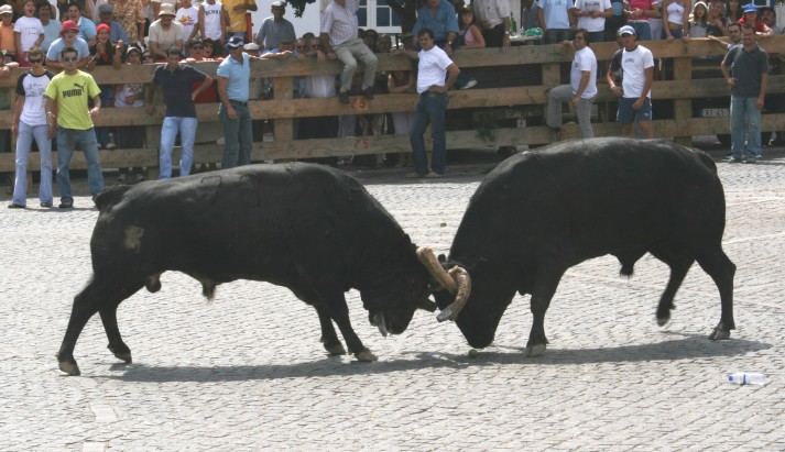 [IMG_1366.JPG]