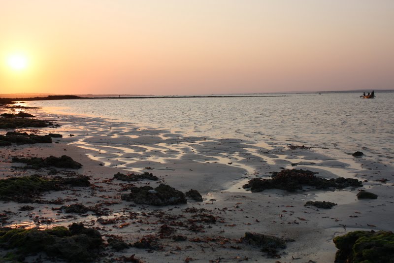 [IMG_7056.JPG]