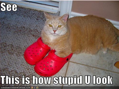 funny-pictures-red-shoes-cat-stupid.jpg