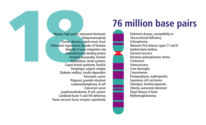 Source Http Genomics Energy Gov Gallery Chromosomes Gallery 01 Html Source Http Genomics Energy Gov Gallery Chromosomes Gallery 01 Html