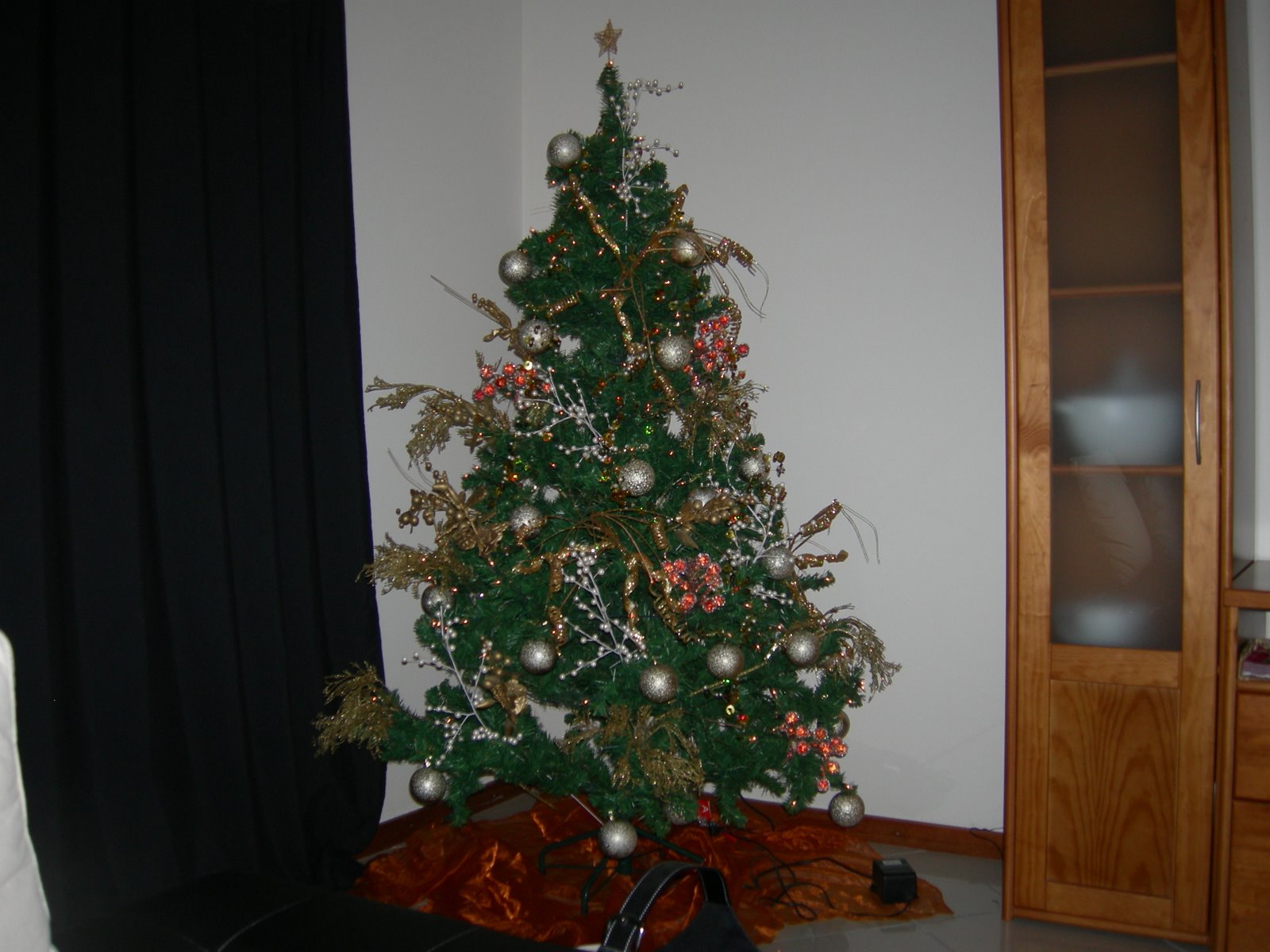 [DSCN0584.JPG]