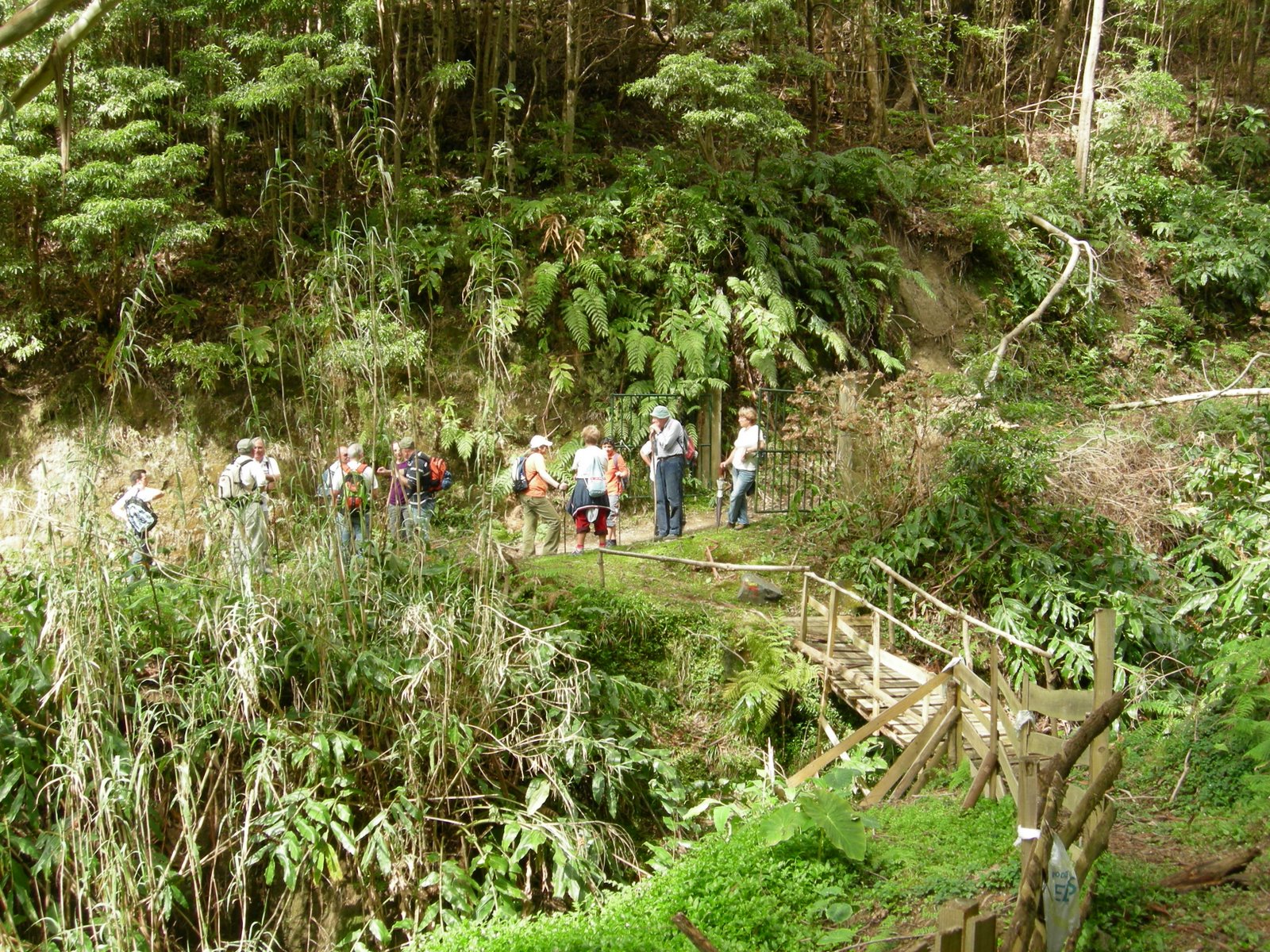 [DSCN0928.JPG]