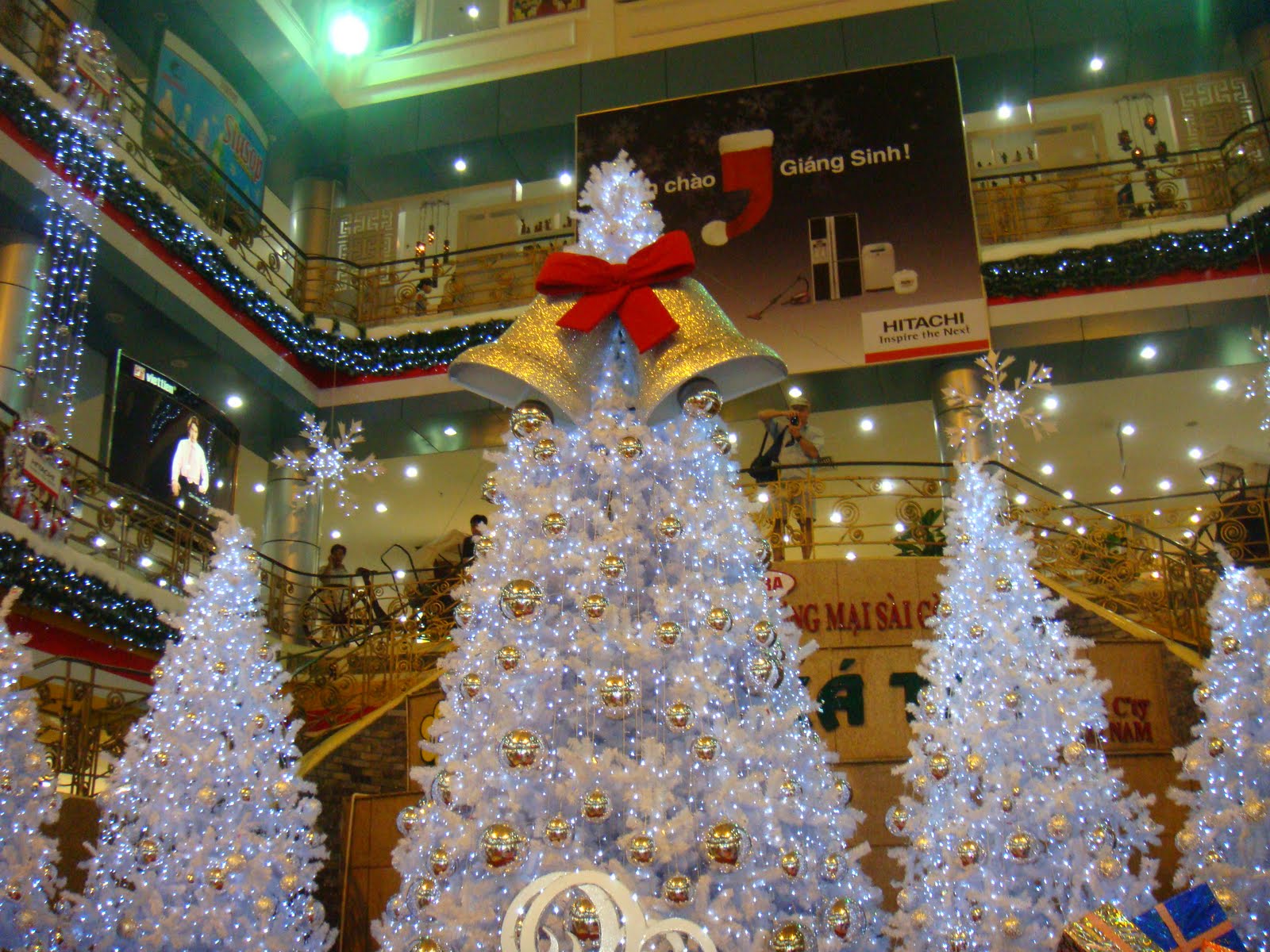[DSC03213.JPG]