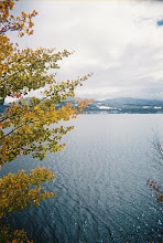 Fall on Lake Dillon