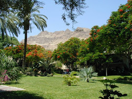 We can change the Dessert