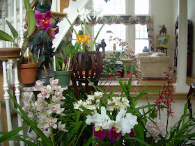 Orchids And Ikebana Indoor Orchid Garden