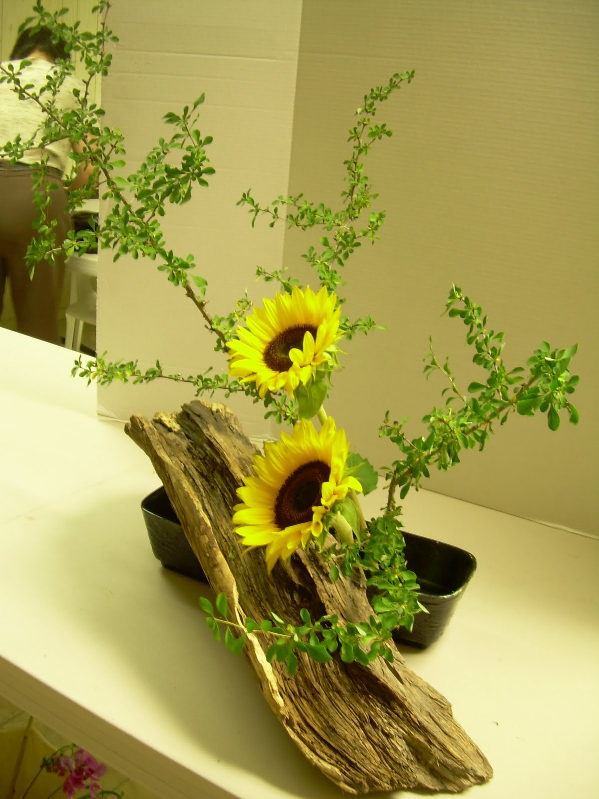 Orchids and Ikebana June 2010