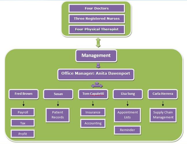 Physical Therapy Organizational Chart