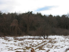 Round Meadow