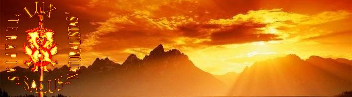 LuxSalus.blogspot.com/Terapia da Escrita II