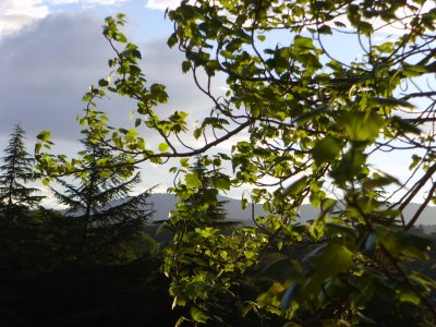 [SSL23675.JPG]