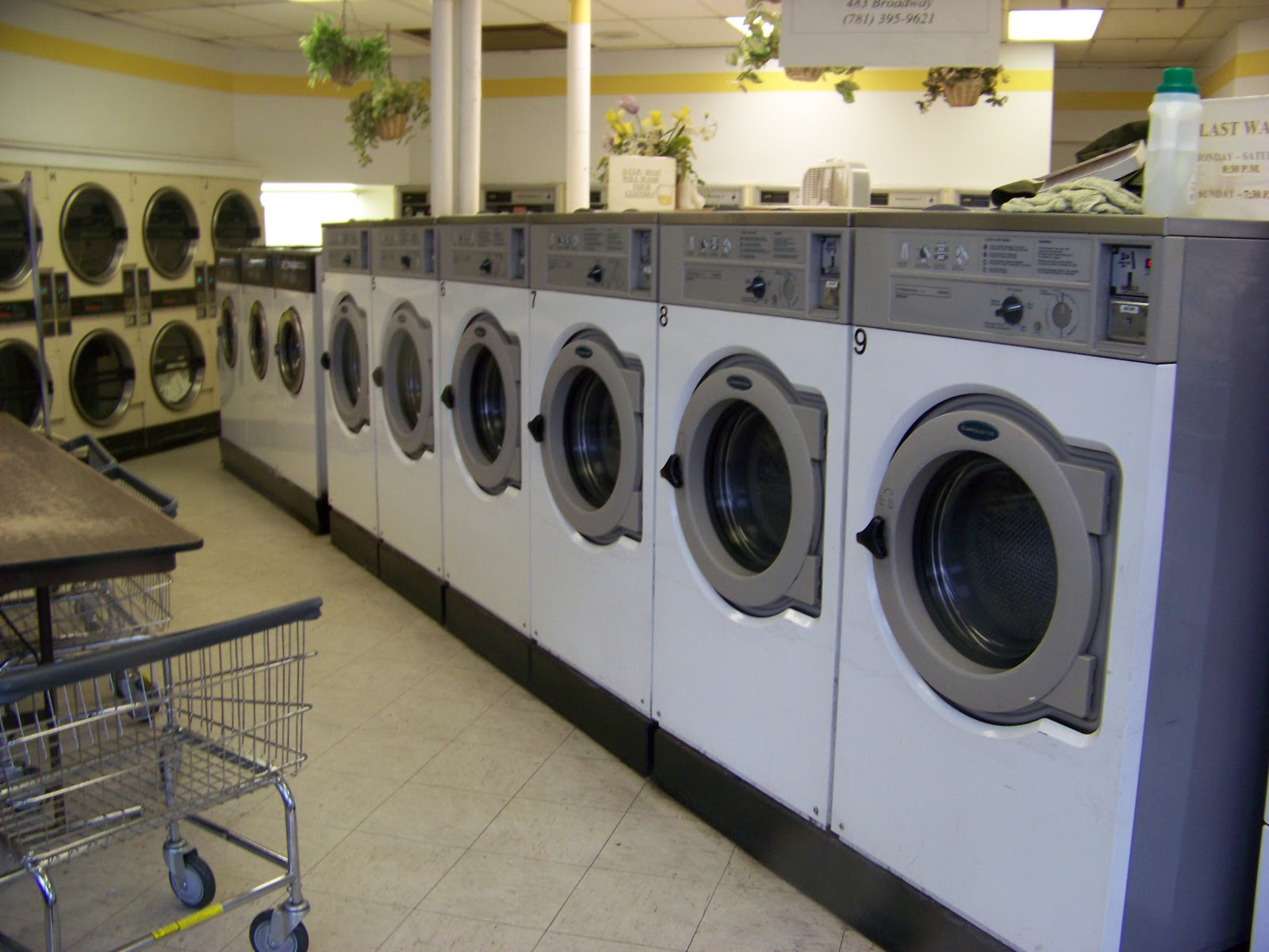 Indian Dreams Standard Of Living (Manoj Kumar) Washing Machines