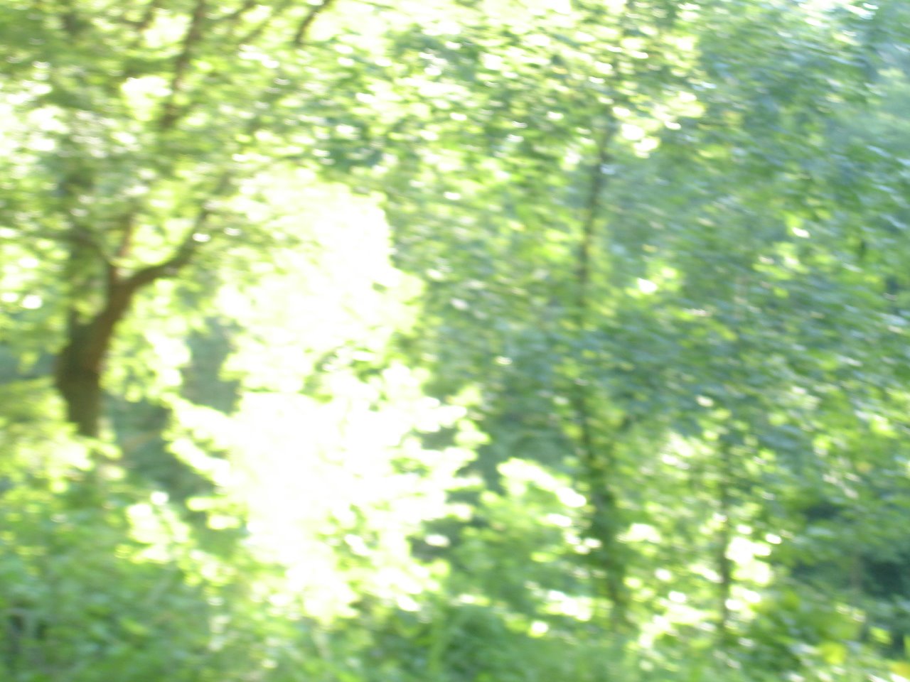 [DSC03210.JPG]