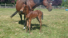 Ria and her filly, Mahri