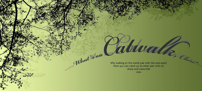 Whats on catwalk, Chéri?