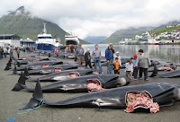 Clever Klaksvik killers