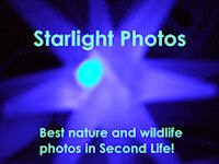 Starlight Photo